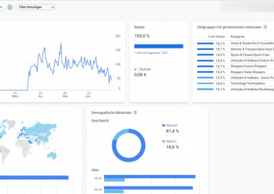 Ein Screenshot einer Google Analytics Zielgruppe