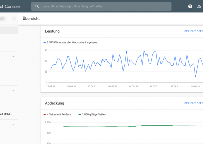 Screenshot der Übersichtsseite der Google Search Console