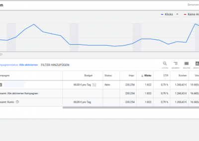 Hier sieht man einen Screenshot aus Google Ads