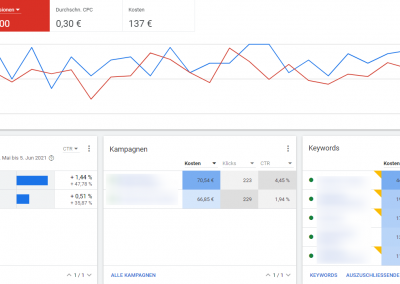 Google Ads Statistik einer laufenden Google Search Kampagne